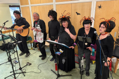 Spider hats and Beatle wigs - must be Hallowe'en